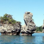 Halong bay tours