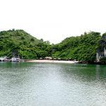 Halong Bay Tours