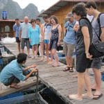 Halong Bay Tours